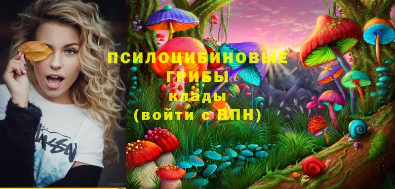 Галлюциногенные грибы MAGIC MUSHROOMS  Невинномысск 